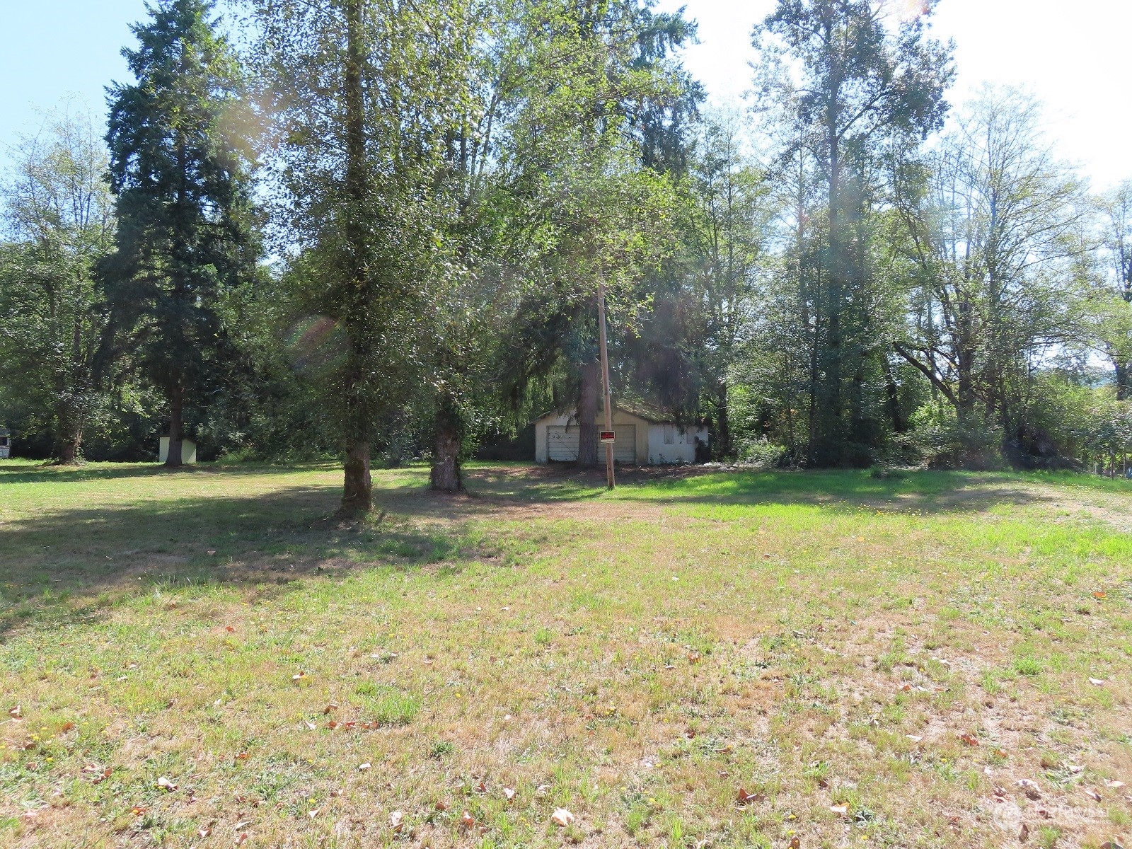 654 Shanklin Road Onalaska, WA 98570 - Photo 6 of 20 a view of a yard with trees