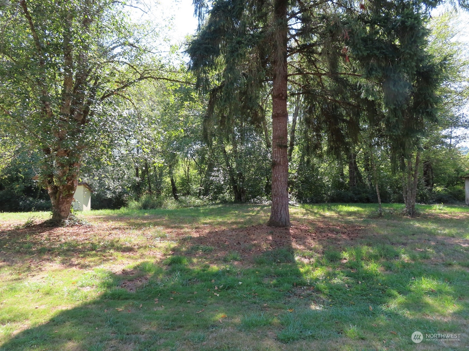 654 Shanklin Road Onalaska, WA 98570 - Photo 7 of 20 a view of a yard with a tree