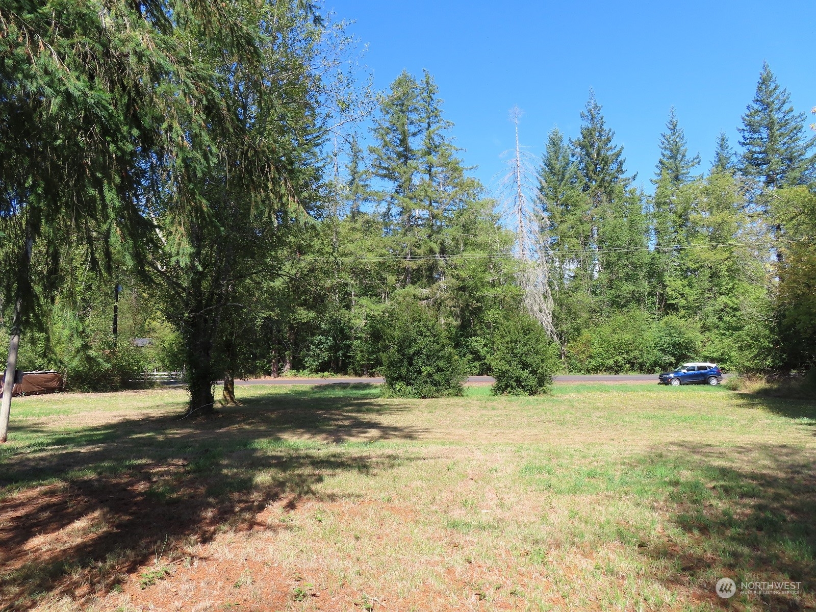 654 Shanklin Road Onalaska, WA 98570 - Photo 9 of 20 a view of outdoor space with trees