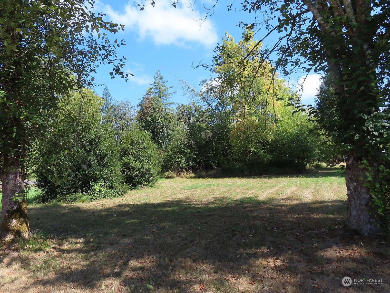 654 Shanklin Road Onalaska, WA 98570 - Photo 10 of 20 a view of a yard with a tree