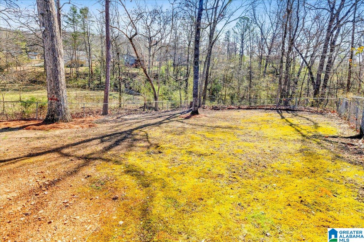 6585 Womack Road Pinson, AL 35126 - Photo 25 of 29