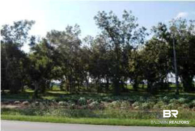 0 Spring Street Jay, FL 32565 - Photo 1 of 1