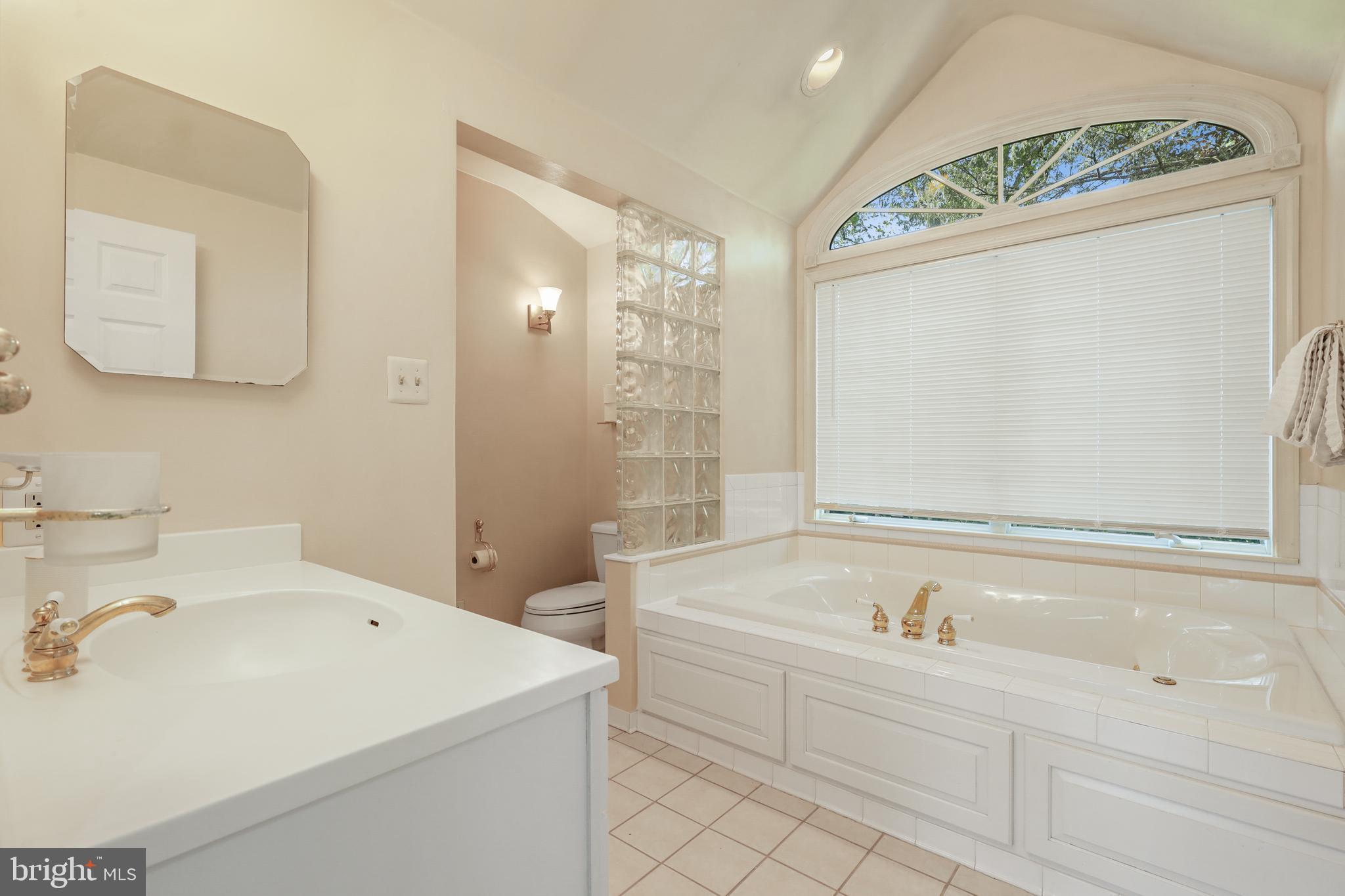 2913 Southview Road Ellicott City, MD 21042 - Photo 12 of 38 Main floor master bathroom -whirlpool