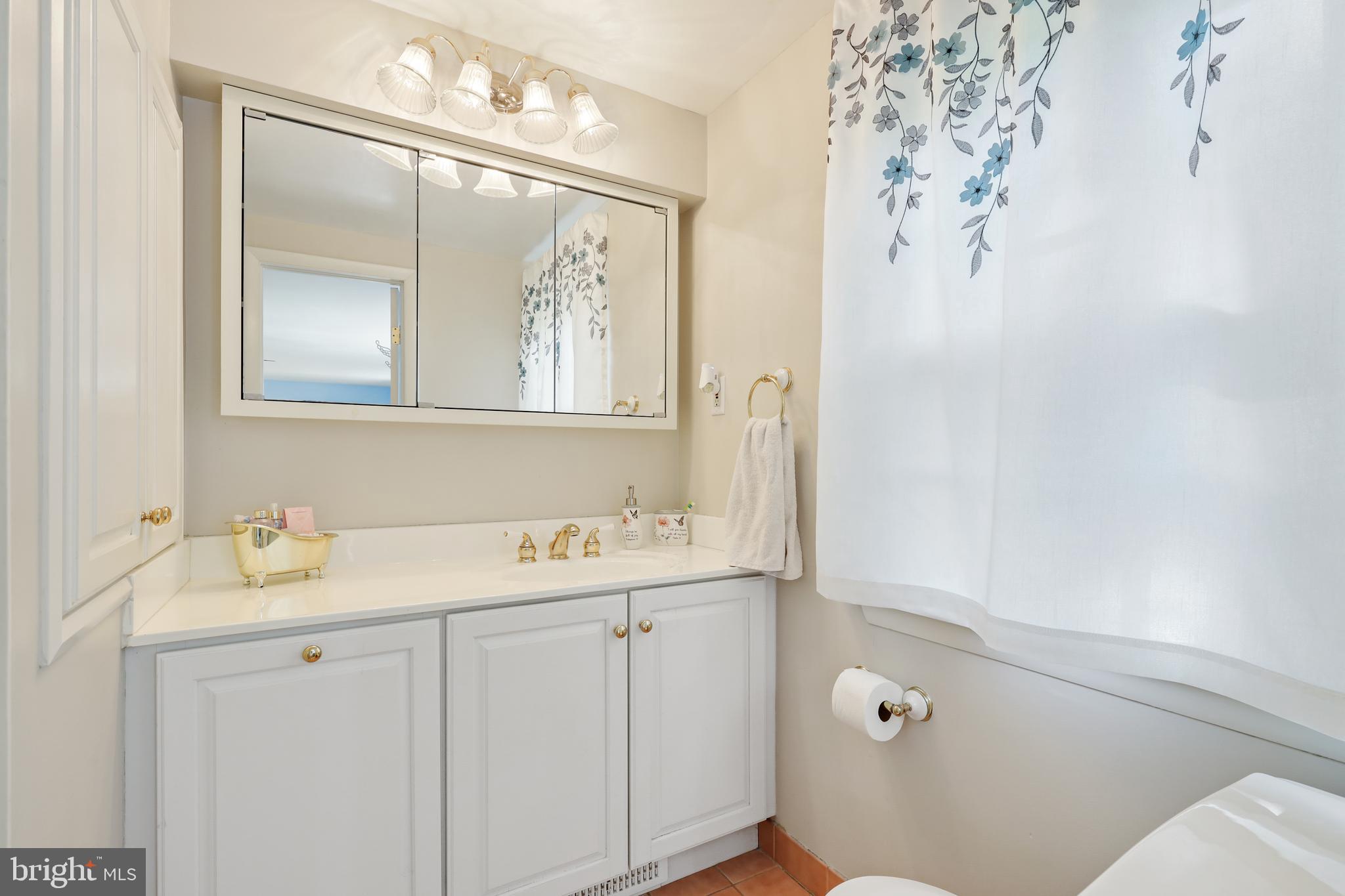 2913 Southview Road Ellicott City, MD 21042 - Photo 25 of 38 2nd floor master full bathroom
