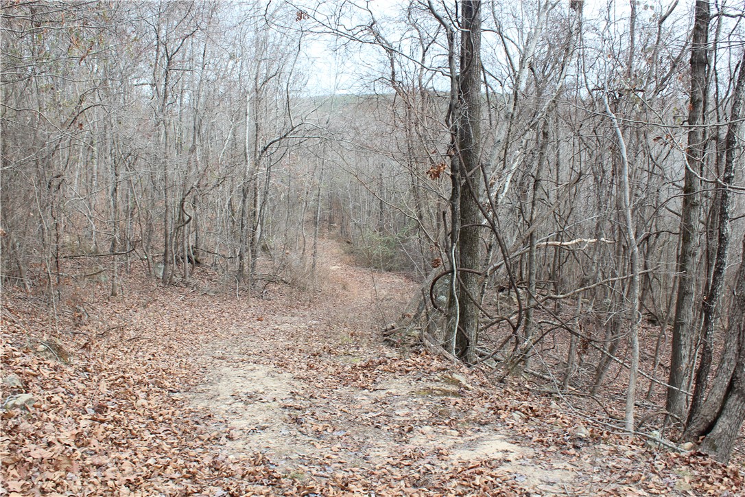 0 Old Brewer Road South Edgemont, AR 72044 - Photo 25 of 60 View of tree filled area