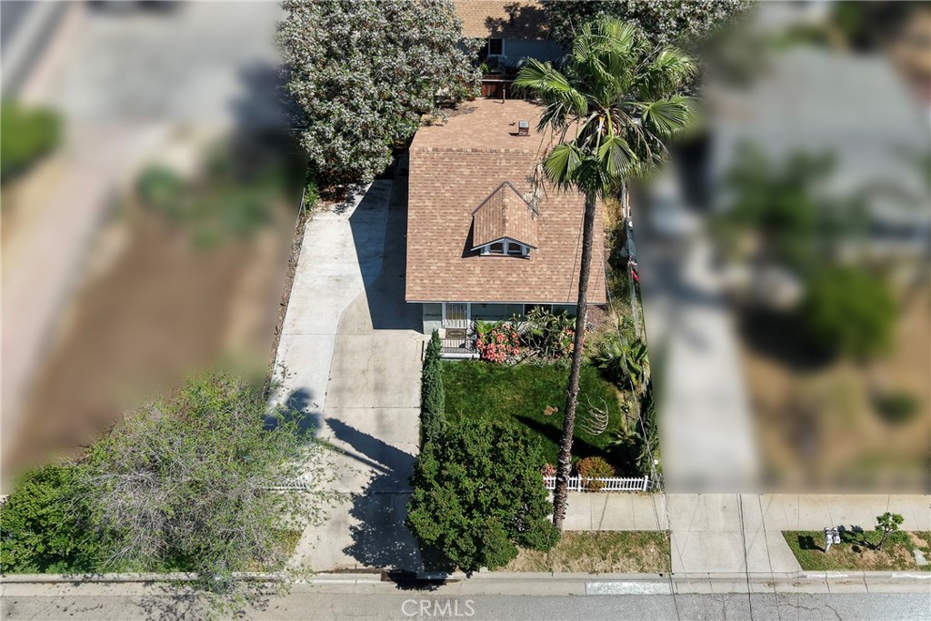 3751 McKenzie Street Riverside, CA 92503 - Photo 9 of 68 a picture of a tree