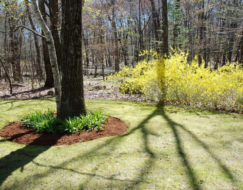 61 Estabrook Road Carlisle, MA 01741 - Photo 22 of 23 Gallery Image 22