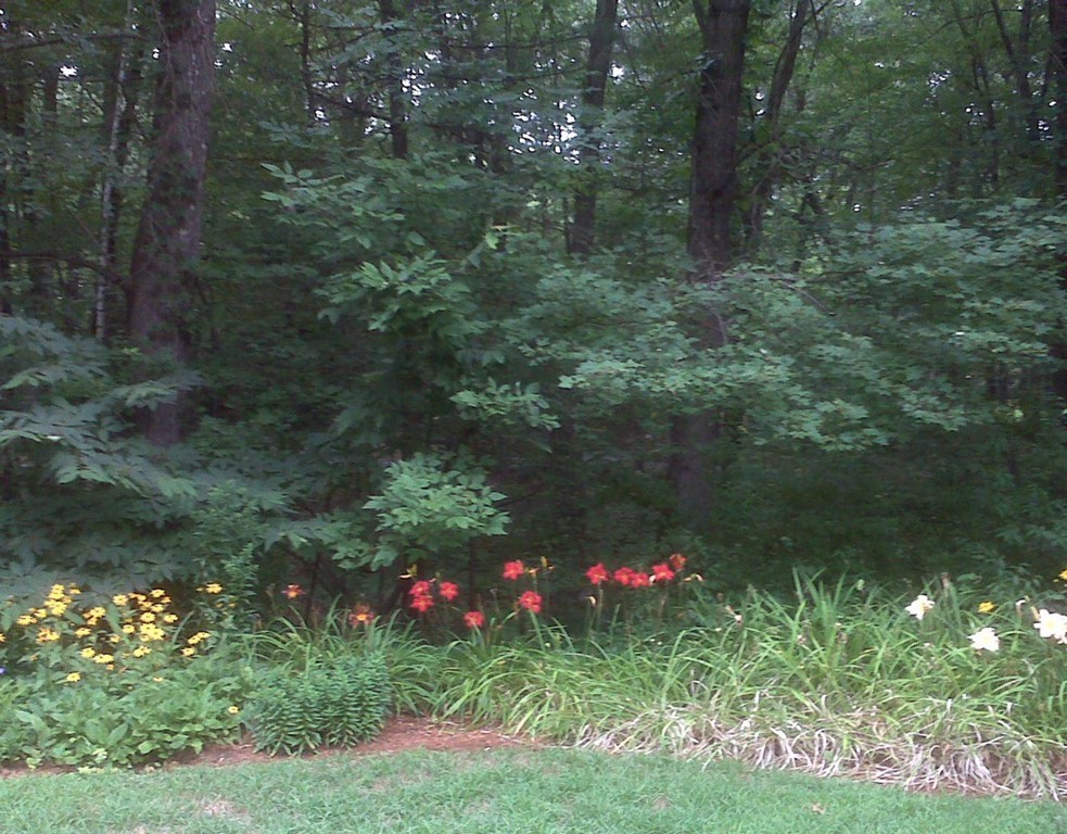 61 Estabrook Road Carlisle, MA 01741 - Photo 23 of 23 Gallery Image 23
