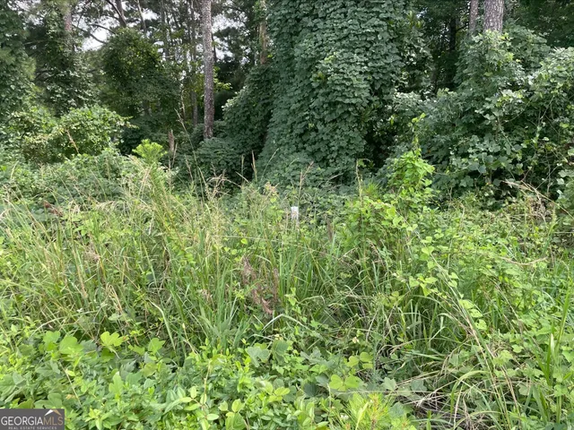 a view of a lush green forest