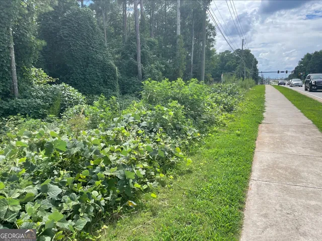 a view of a garden with a pathway