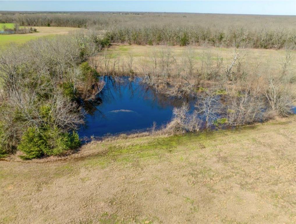 0 County Road 16590 Paris, TX 75462 - Photo 11 of 15
