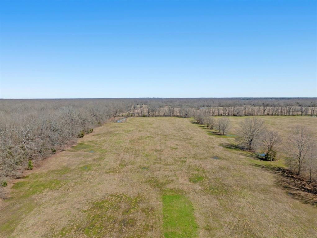 0 County Road 16590 Paris, TX 75462 - Photo 15 of 15