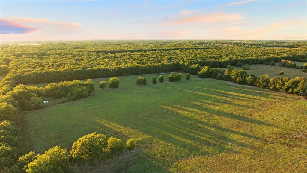0 County Road 16590 Paris, TX 75462 - Photo 3 of 15