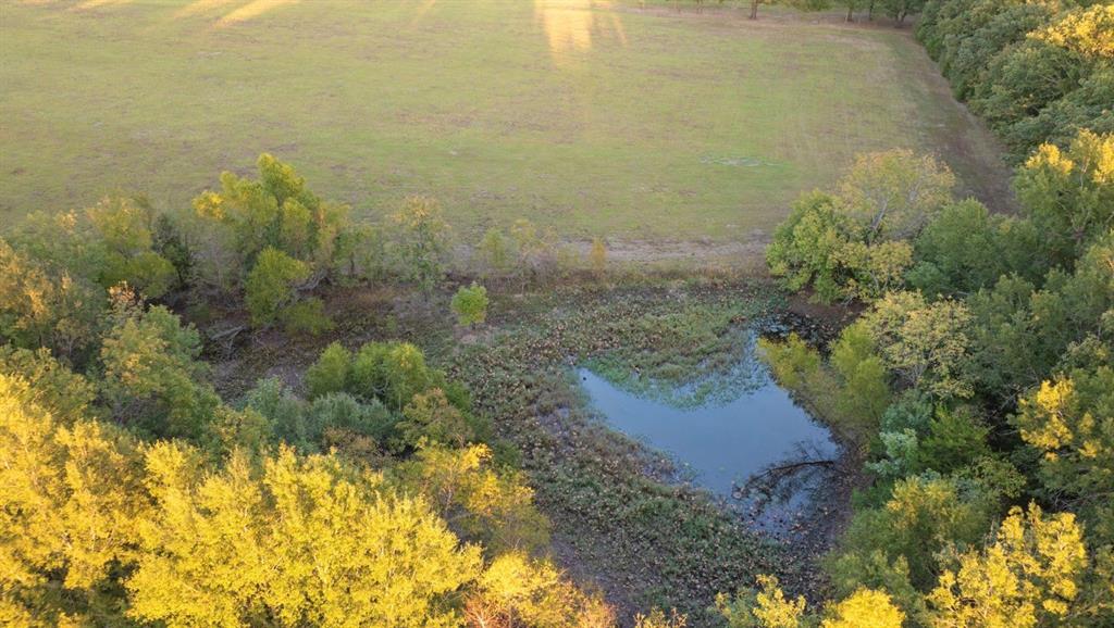 0 County Road 16590 Paris, TX 75462 - Photo 6 of 15