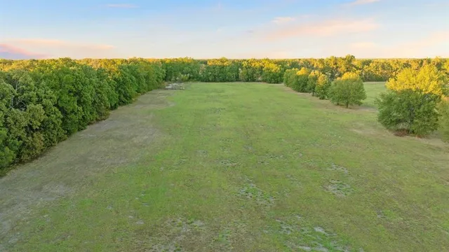 a view of a big yard with large trees