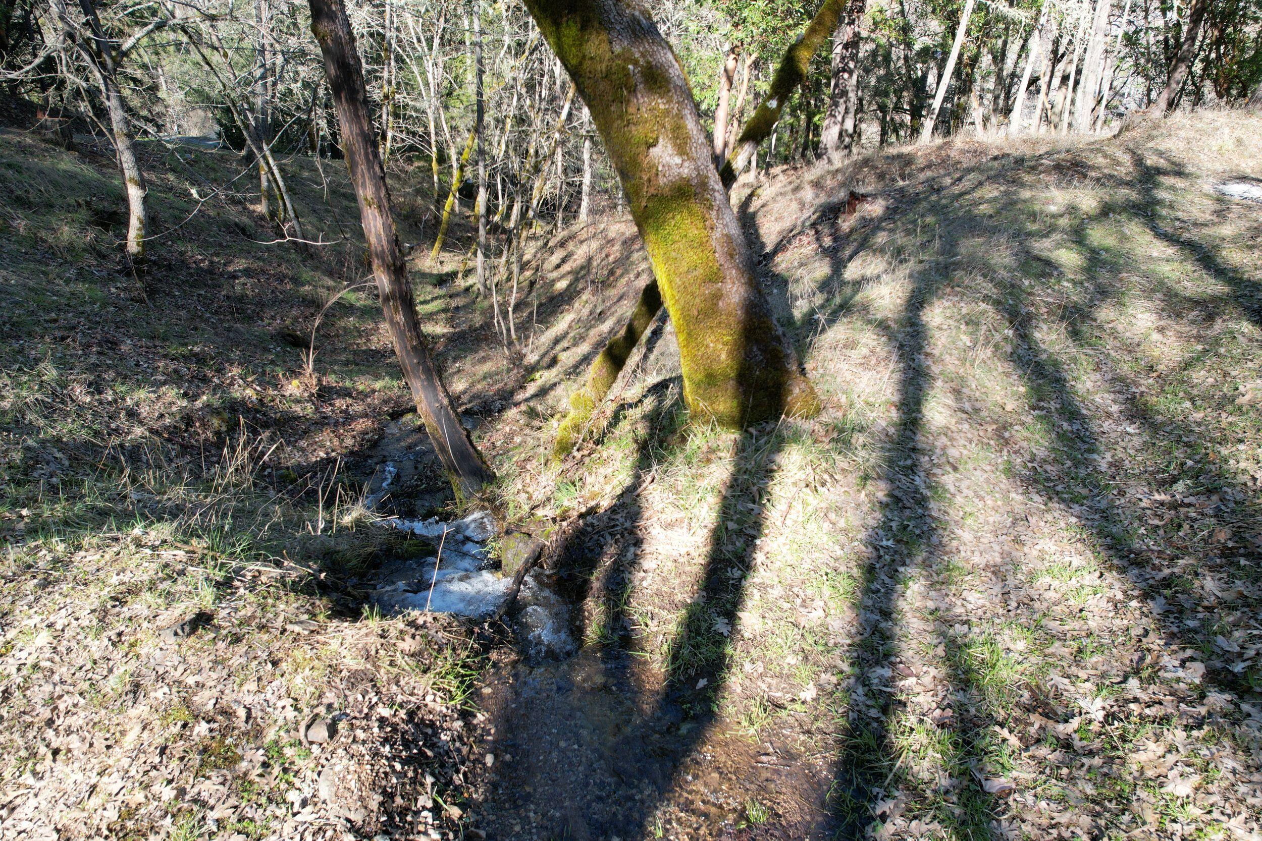 1682 Brown Road Jacksonville, OR 97530 - Photo 43 of 51 6