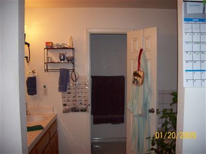 33072 Black Mountain Road Tollhouse, CA 93667 - Photo 14 of 26 Master bathroom