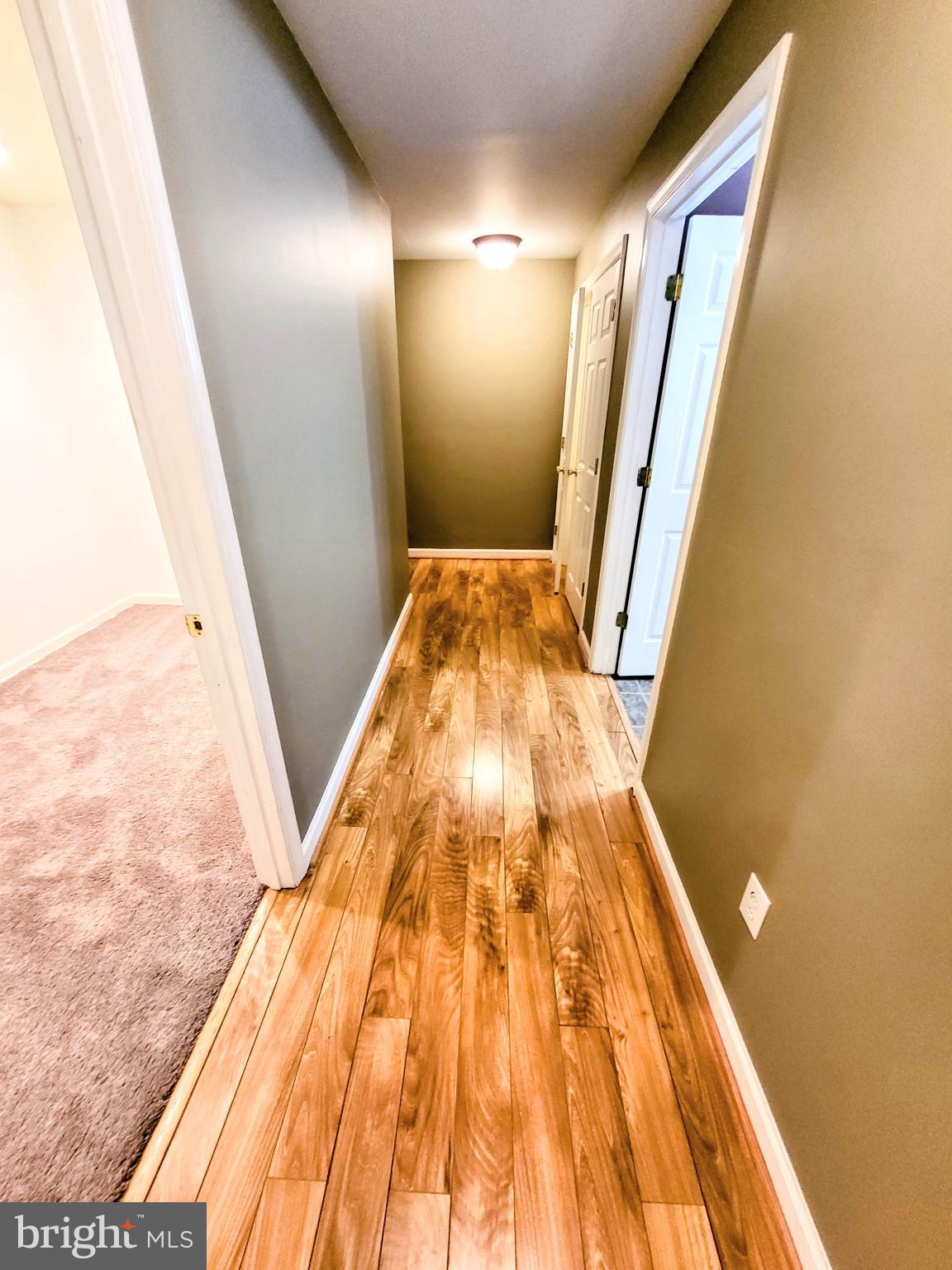 443 Delaware Road Frederick, MD 21701 - Photo 32 of 38 Lower level hallway