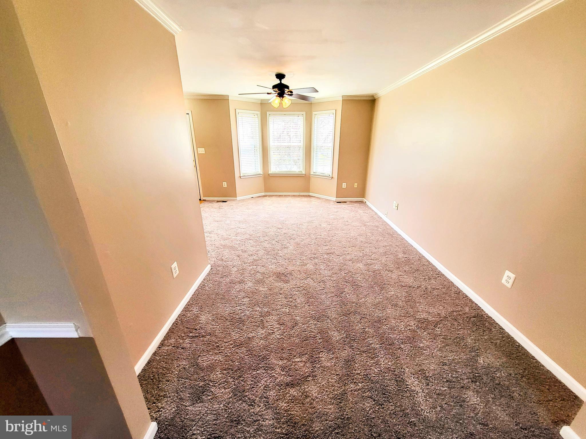443 Delaware Road Frederick, MD 21701 - Photo 8 of 38 Gallery Image 8