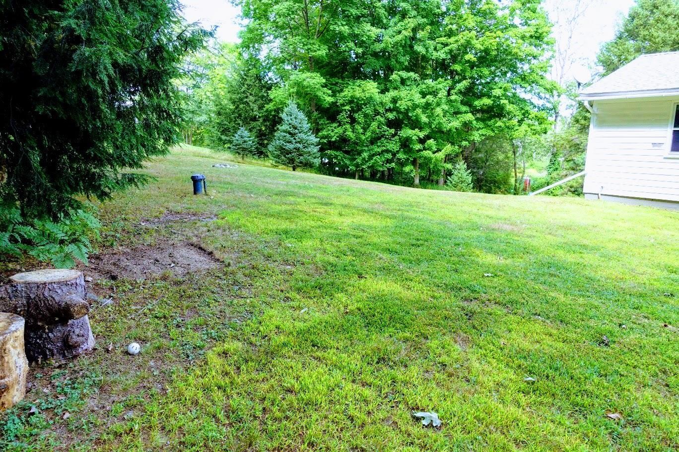 5 Field Road Antrim, NH 03440 - Photo 8 of 16 Gallery Image 8