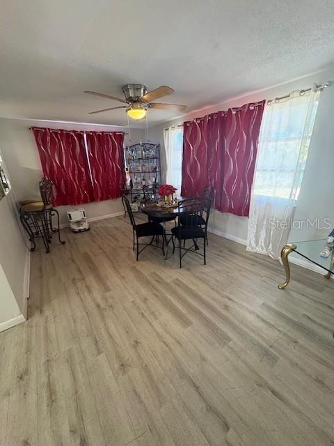 10825 Scenic Drive Port Richey, FL 34668 - Photo 6 of 14