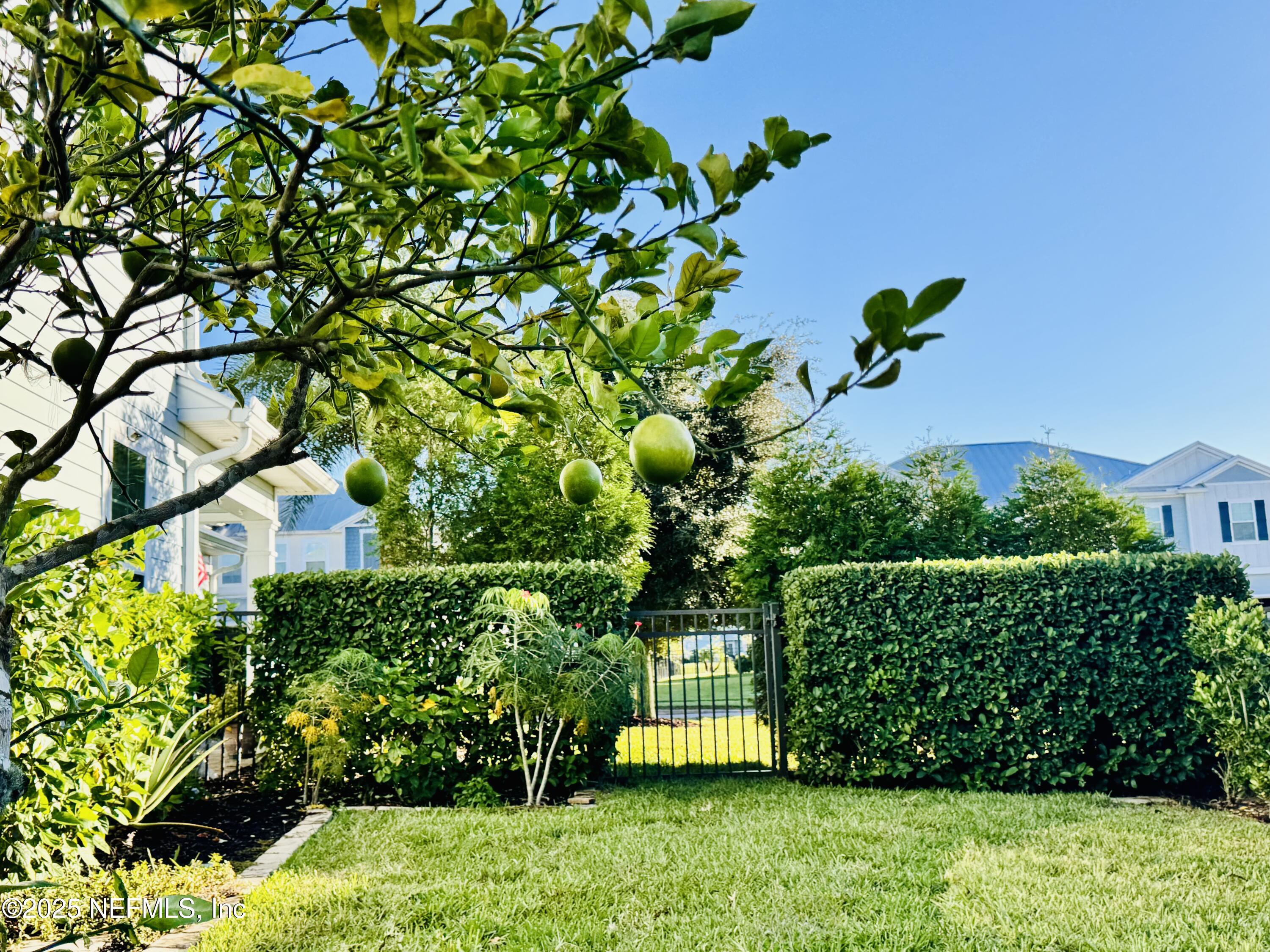 651 Rum Runner Way St. Johns, FL 32259 - Photo 73 of 97 a view of a house with a flower garden
