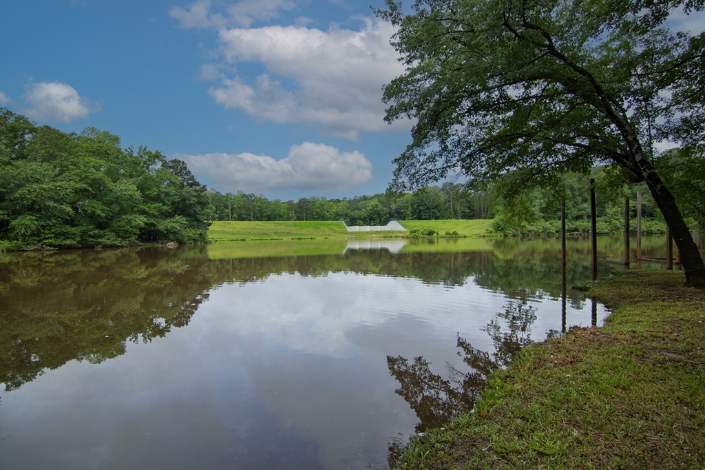 299 Savior Lane Hamilton, GA 31811 - Photo 74 of 92