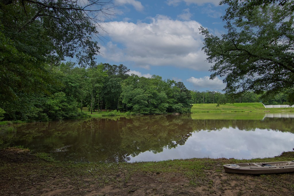 299 Savior Lane Hamilton, GA 31811 - Photo 75 of 92