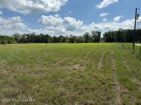0 Walker Road Bonifay, FL 00000 - Photo 3 of 5 a view of a golf course with green space
