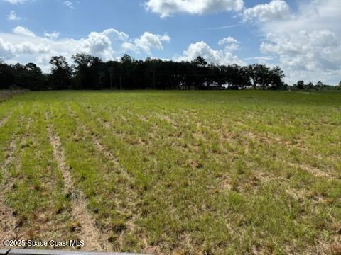 0 Walker Road Bonifay, FL 00000 - Photo 4 of 5 a view of a yard