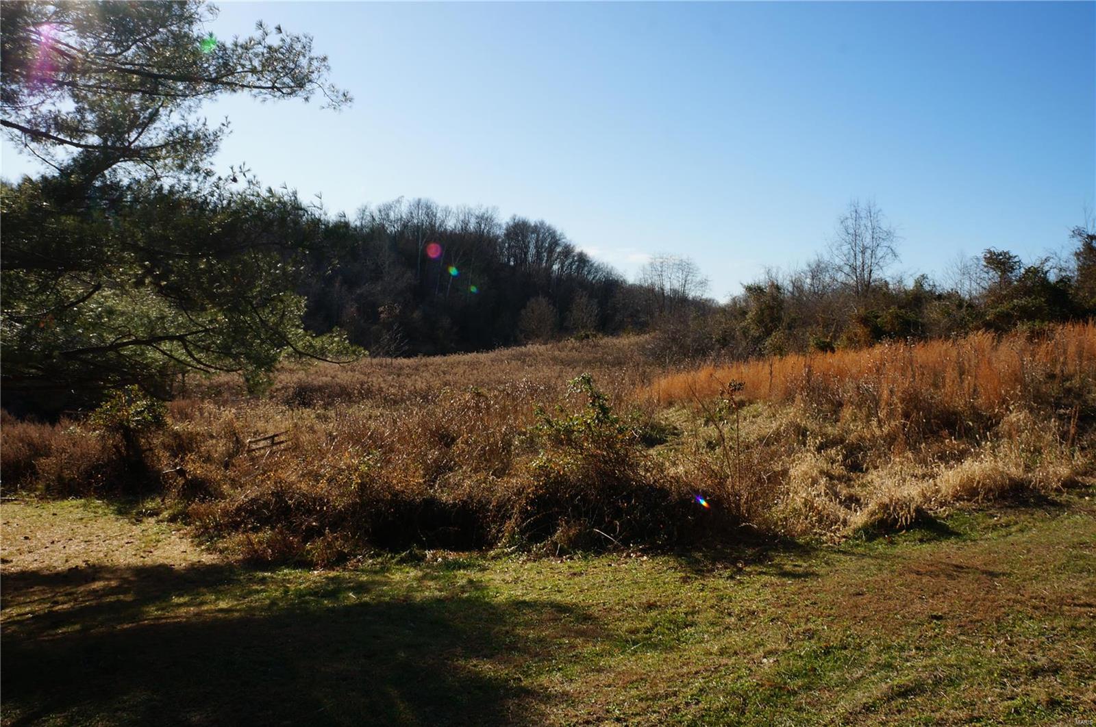 1029 Blue Ridge Road Hamburg, IL 62045 - Photo 29 of 33 Gallery Image 29