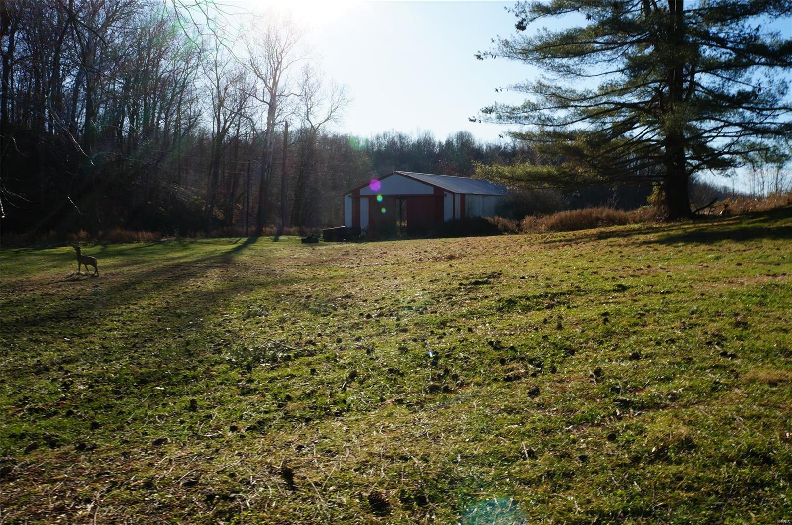 1029 Blue Ridge Road Hamburg, IL 62045 - Photo 5 of 33 Gallery Image 5