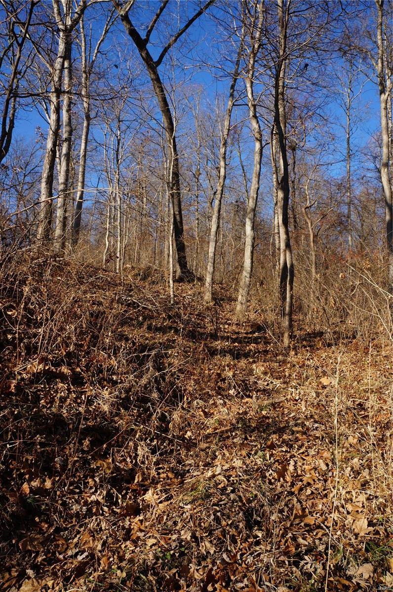 1029 Blue Ridge Road Hamburg, IL 62045 - Photo 9 of 33 Gallery Image 9