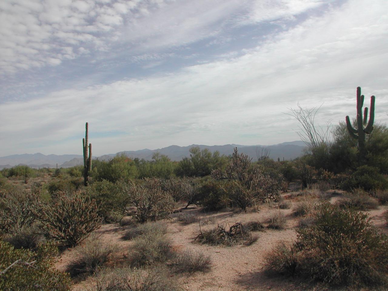 27031 North 168th Street, Unit NONE Rio Verde, AZ 85263 - Photo 1 of 6 1