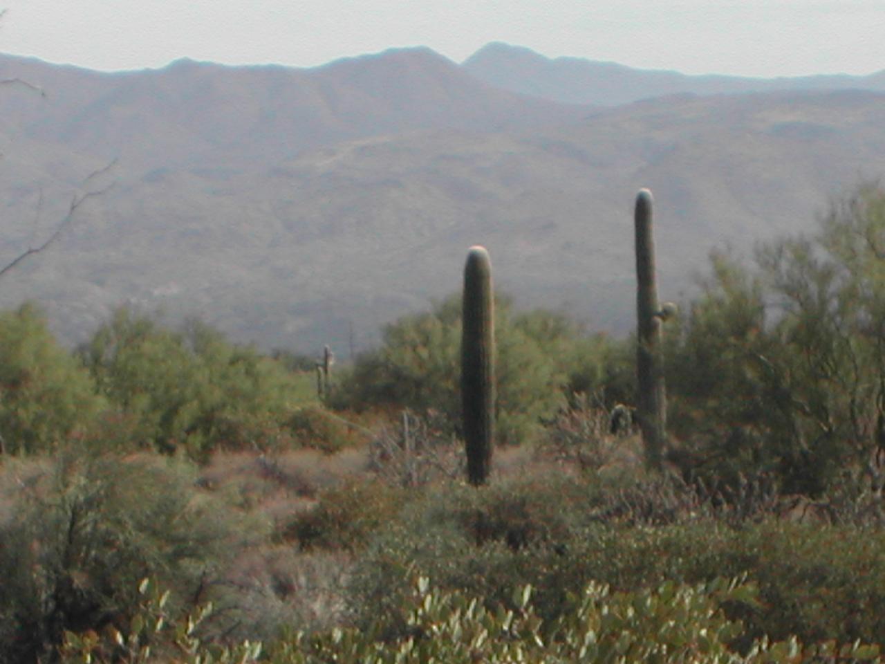 27031 North 168th Street, Unit NONE Rio Verde, AZ 85263 - Photo 2 of 6 2