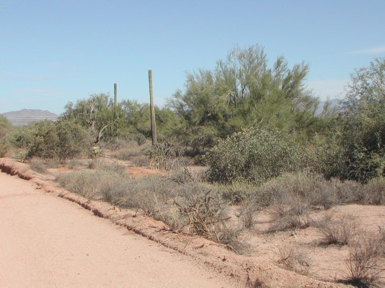 27031 North 168th Street, Unit NONE Rio Verde, AZ 85263 - Photo 4 of 6 4