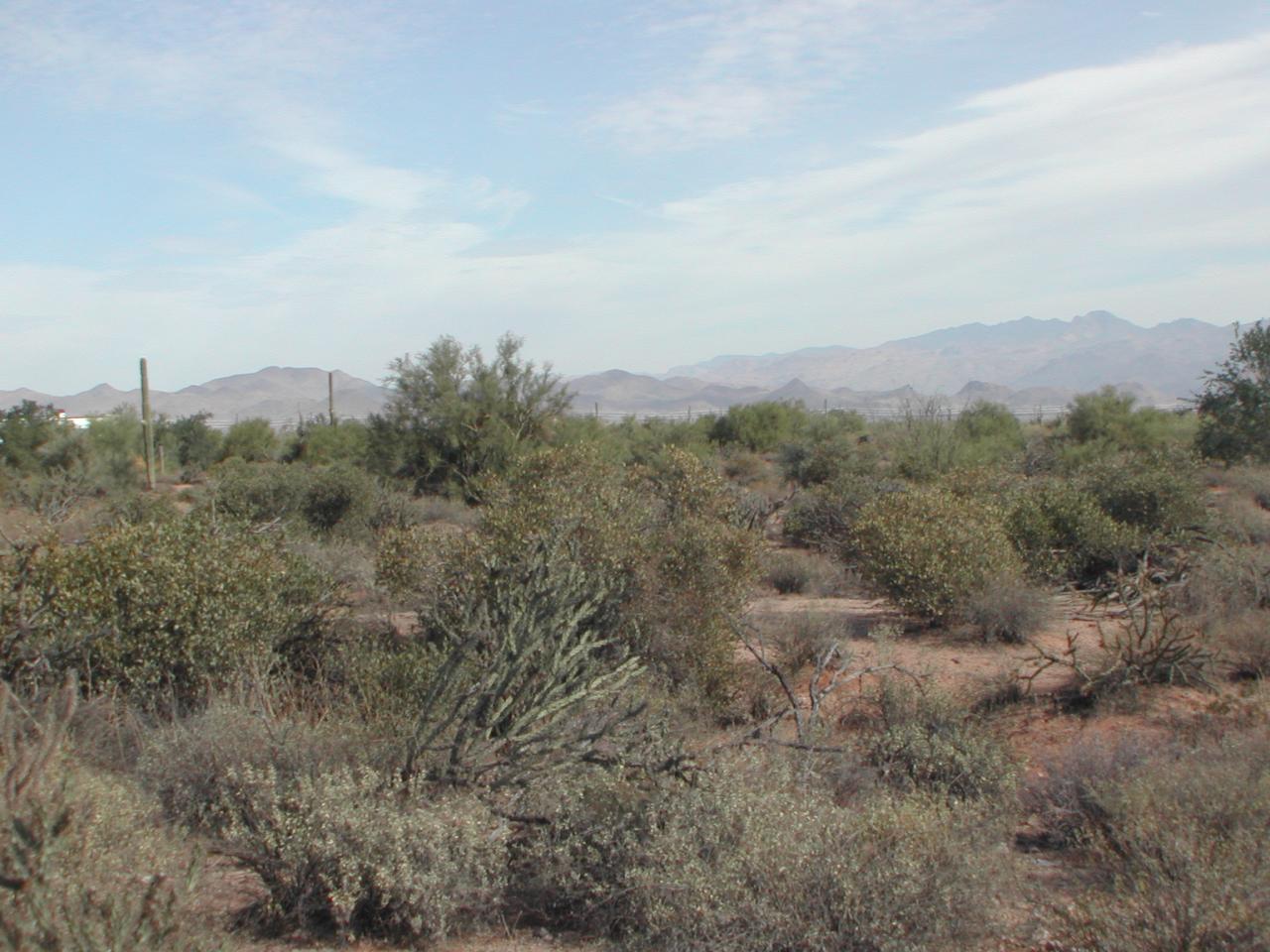 27031 North 168th Street, Unit NONE Rio Verde, AZ 85263 - Photo 6 of 6 EASY BUILD