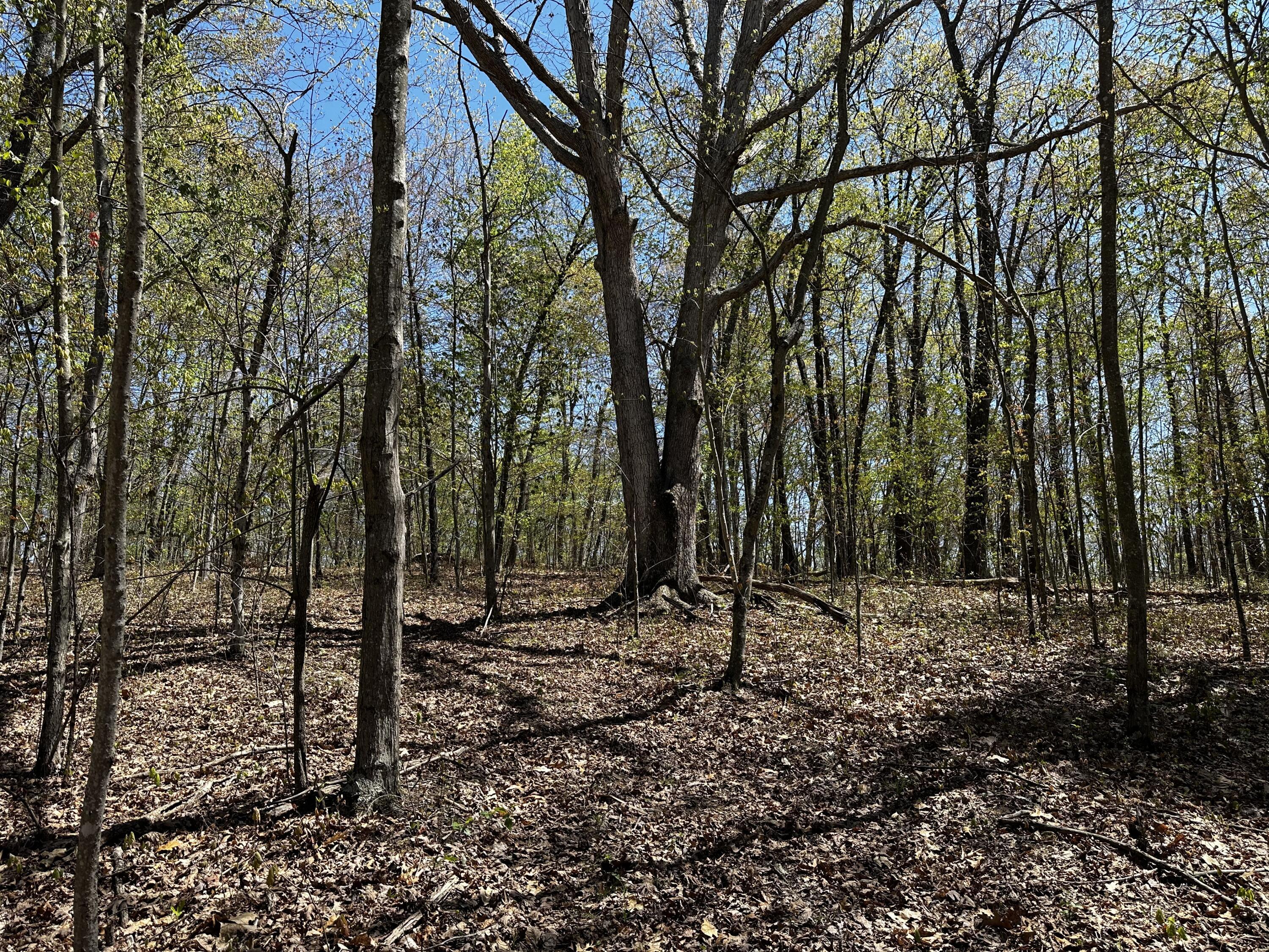 0 Jisco Road, Unit TRACT B) Jackson, OH 45640 - Photo 39 of 43 39