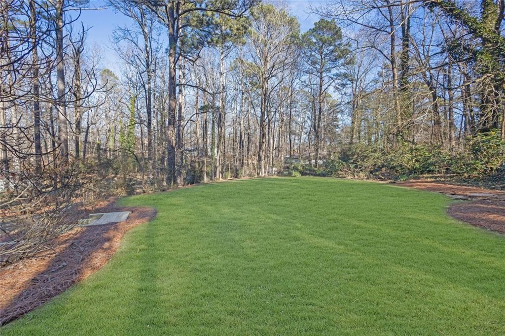 260 Devilla Trace Fayetteville, GA 30214 - Photo 46 of 47 a green field with lots of trees in it