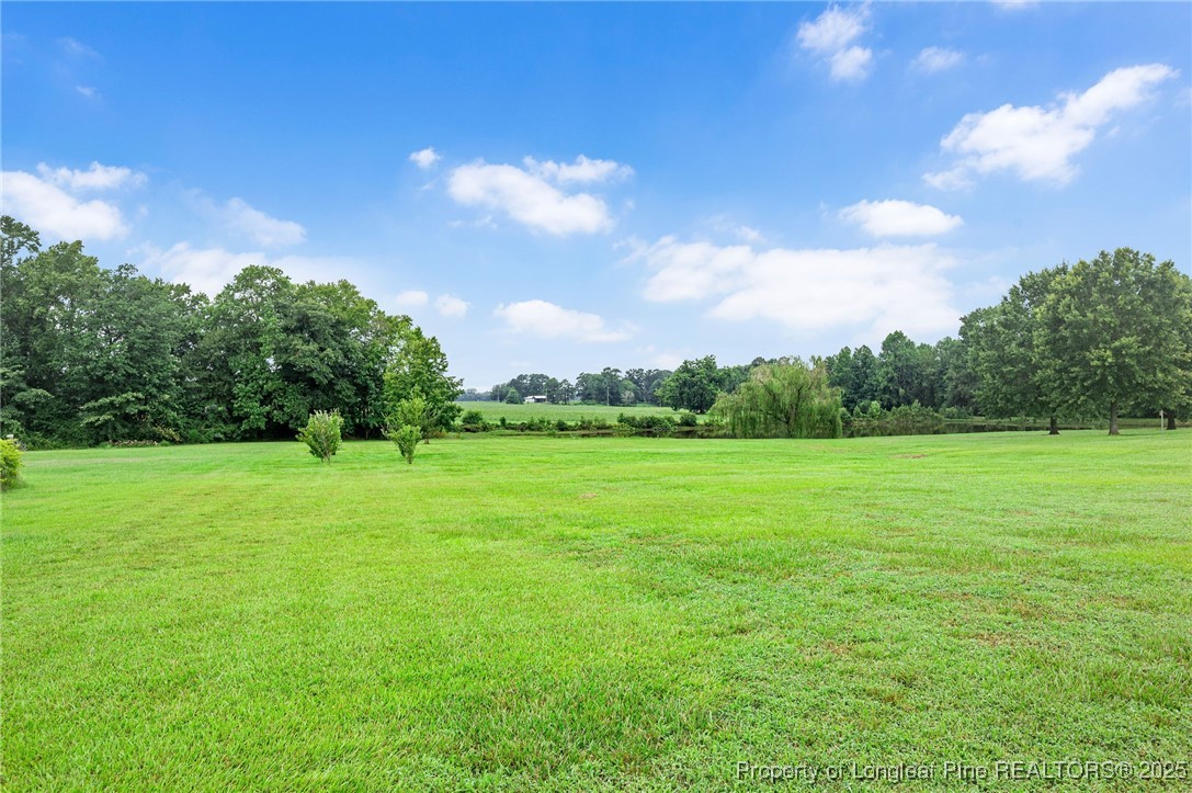 5247 Old Stage Road North Angier, NC 27501 - Photo 37 of 42 a view of field with trees in the background