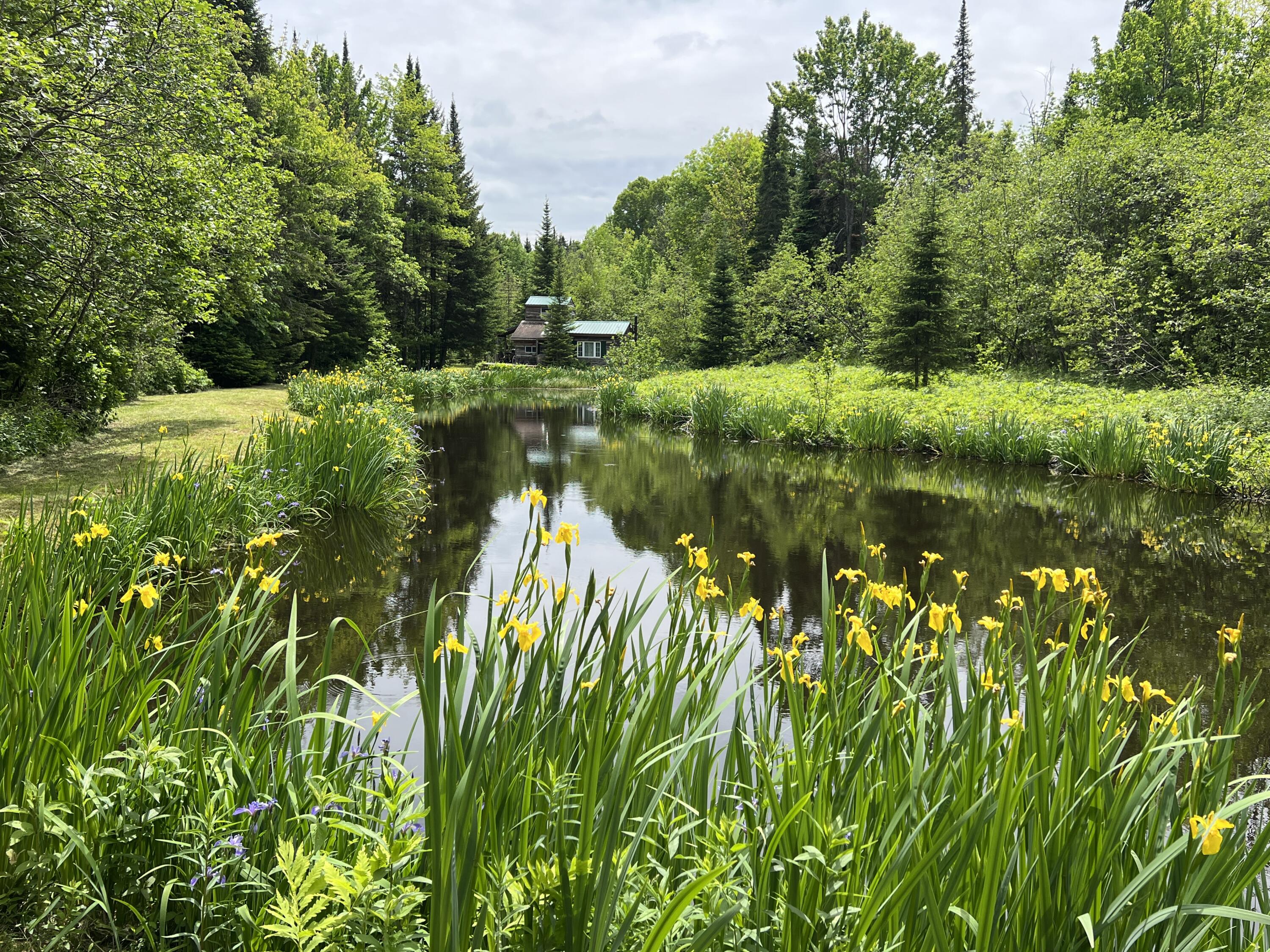 0 Bunker Hill Road Chateaugay, NY 12920 - Photo 38 of 42