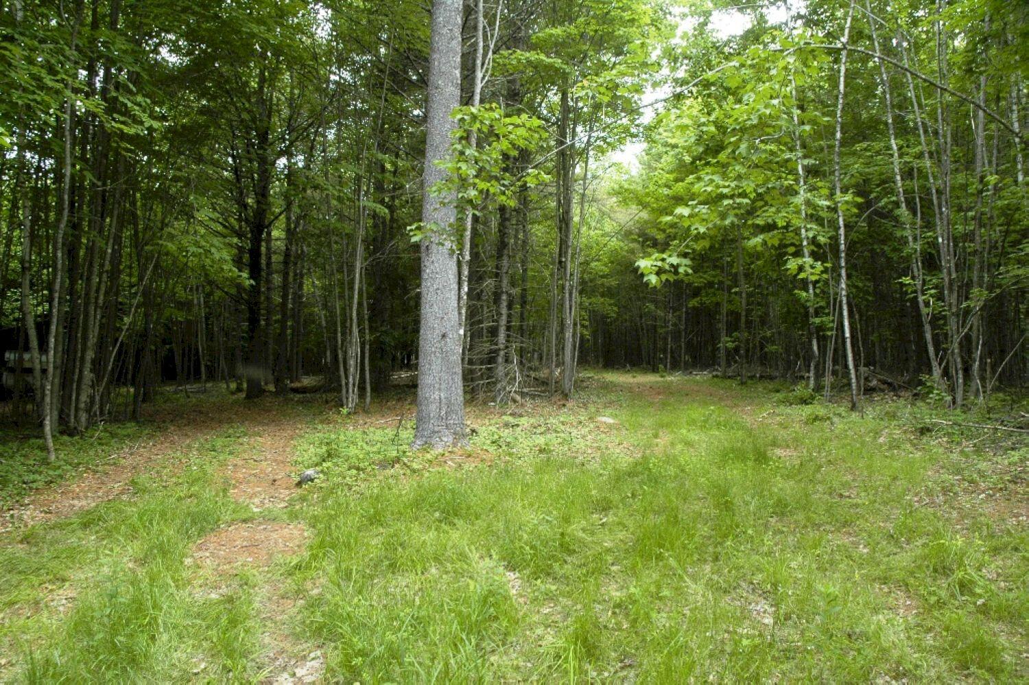M11 L32a West Mills Road Anson, ME 04911 - Photo 2 of 14 _DSC3449