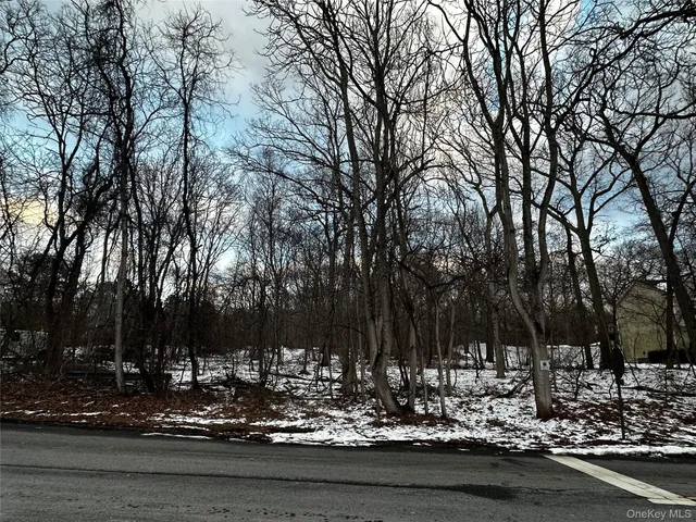 $235,000 | West Bartlett Road, Middle Island, NY 11953