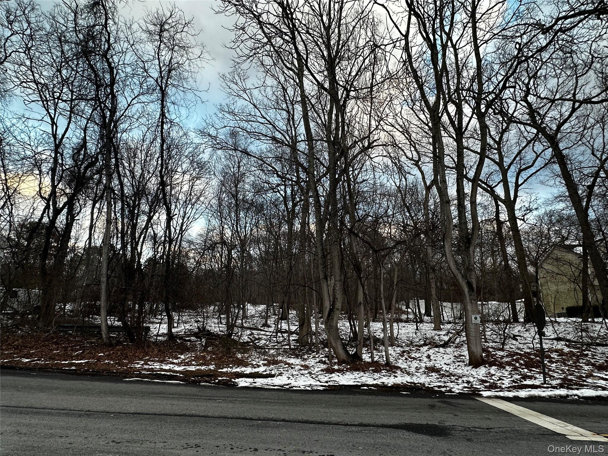 a view of a yard with trees