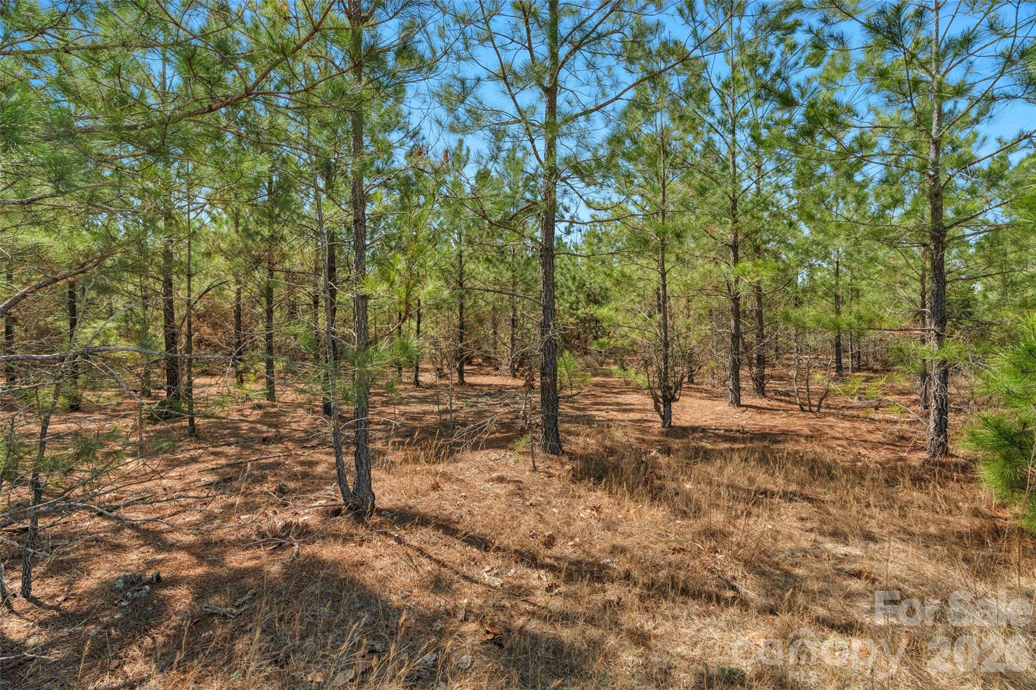 931 Charlie Johnson Road, Unit 2 Kershaw, SC 29067 - Photo 15 of 35