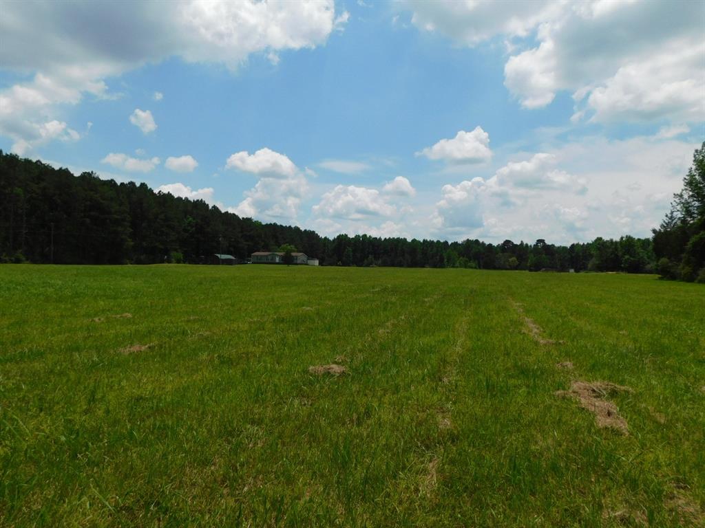 555 Thomasville Road Sarepta, LA 71071 - Photo 31 of 40