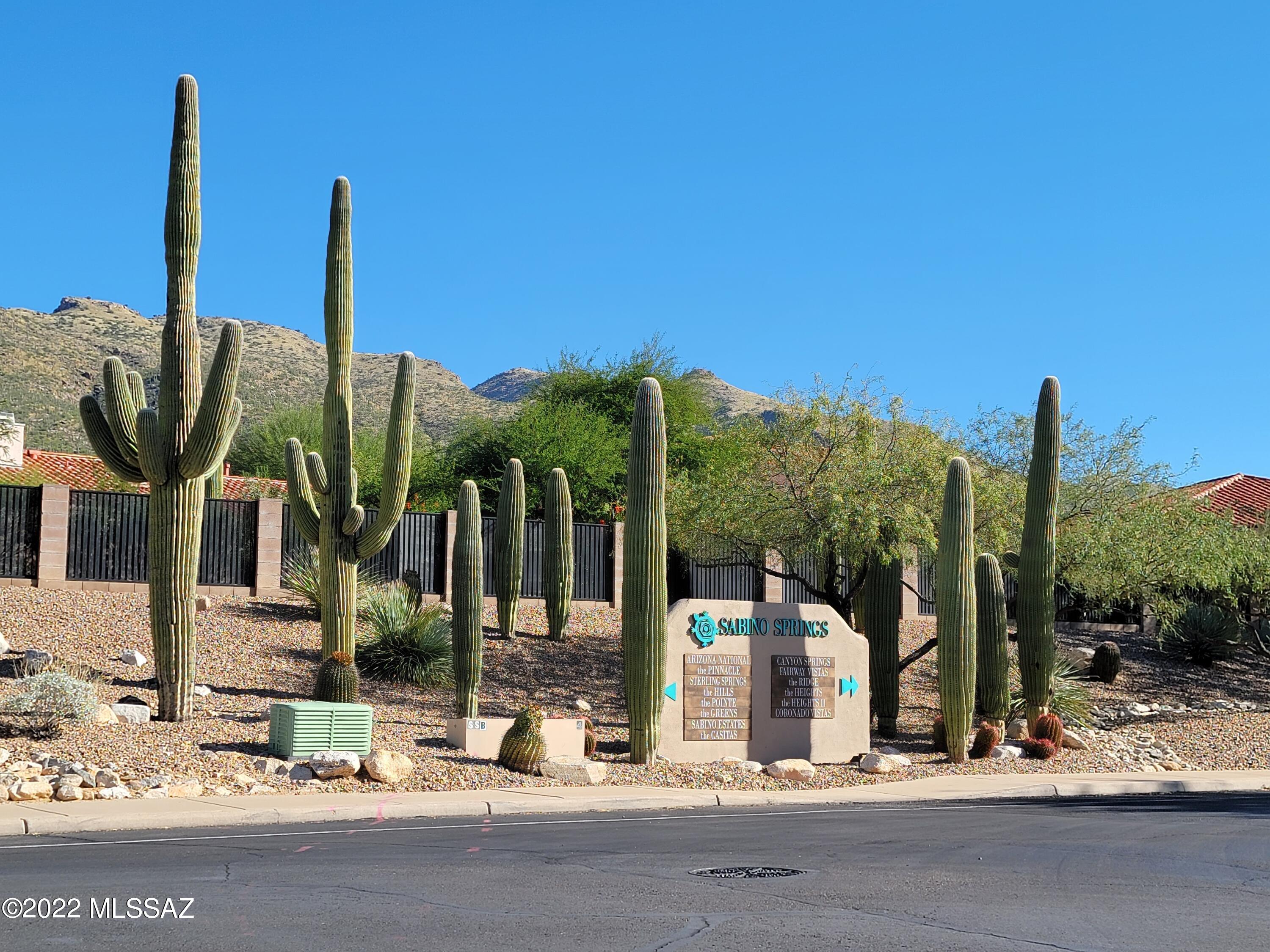5259 Spring View Drive Tucson, AZ 85749 - Photo 36 of 46 Gallery Image 36