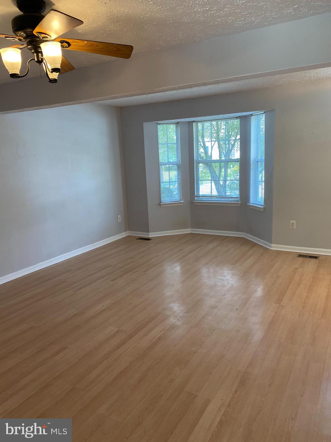 157 Carolstowne Road Reisterstown, MD 21136 - Photo 2 of 31 BRIGHT CHEERY LIVING ROOM