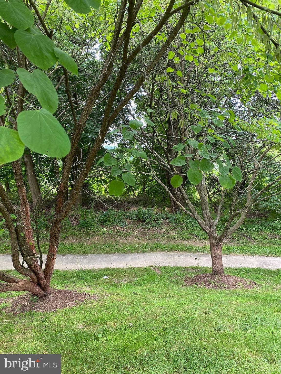 157 Carolstowne Road Reisterstown, MD 21136 - Photo 27 of 31 WITH VIEWS OF TRAILS