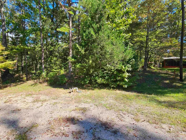 a view of a yard with trees